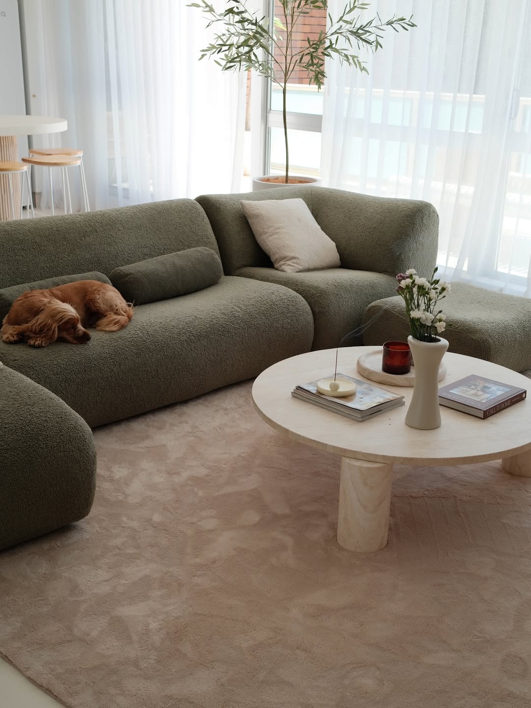 Dog sleeping on a curved green sofa in an earthy living space. The 1977 Sofa has removable washable covers.