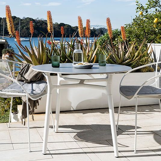 Luna chair king living sales
